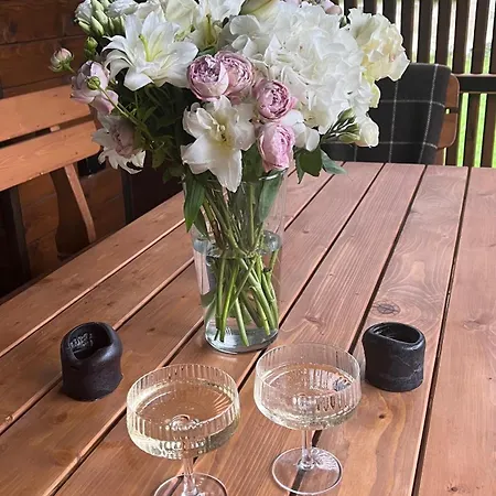 בית נופש Ambar House Krivorovnya